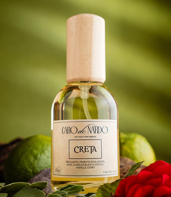 Caro de Nardo